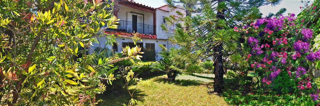 Casa Cigliano Hotel Forio di Ischia Buitenkant foto